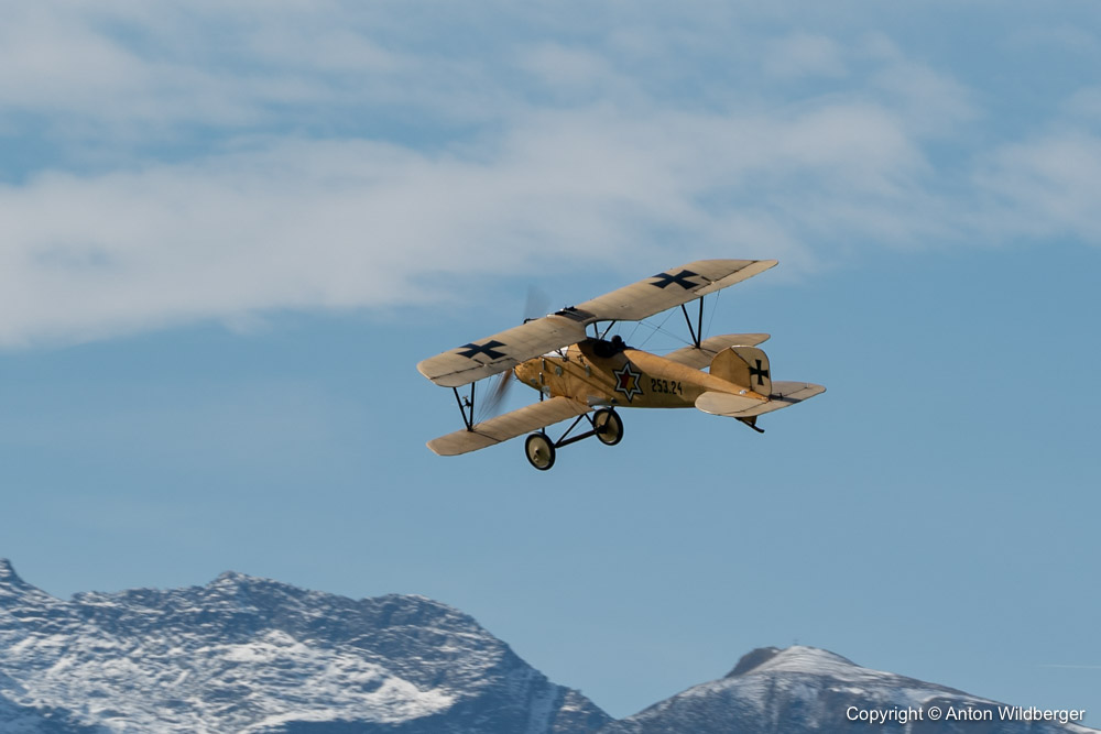 Albatros D-III