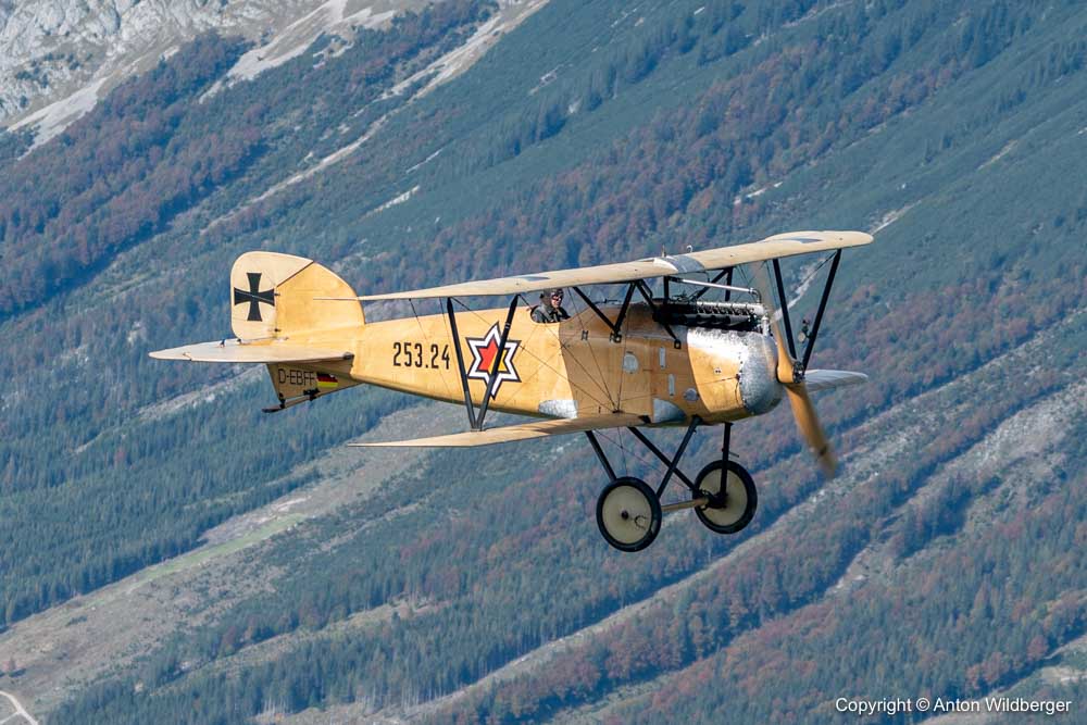 Albatros D-III