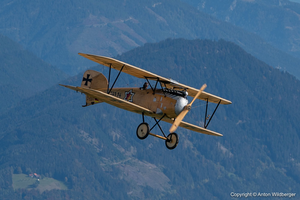 Albatros D-III