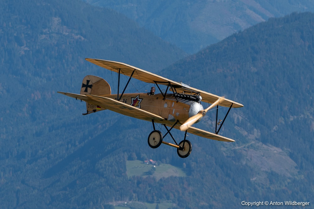 Albatros D-III