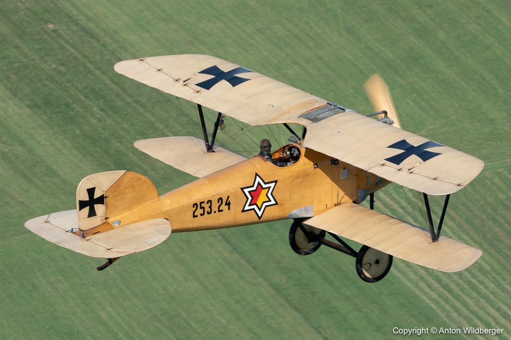 Albatros D-III