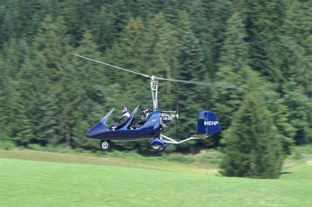 D-MEHP