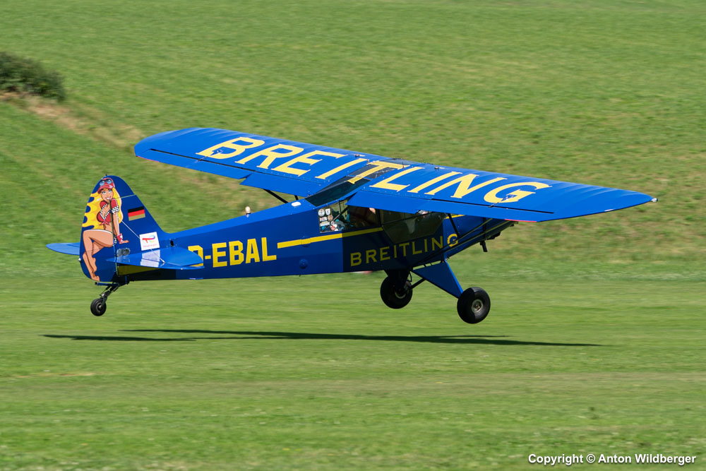 D-EBAL