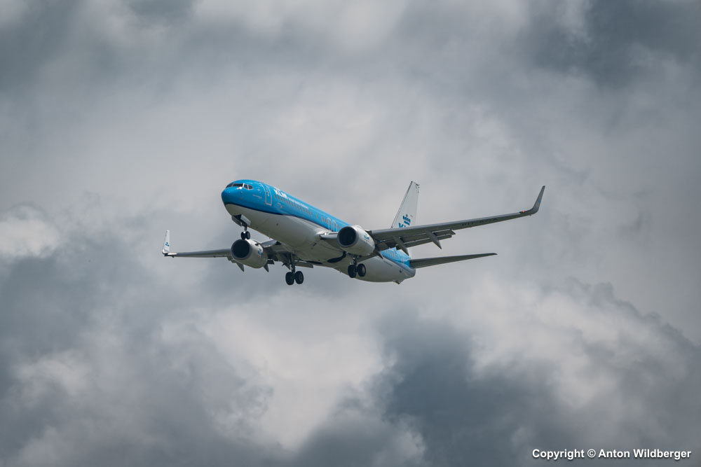 PH-BGA