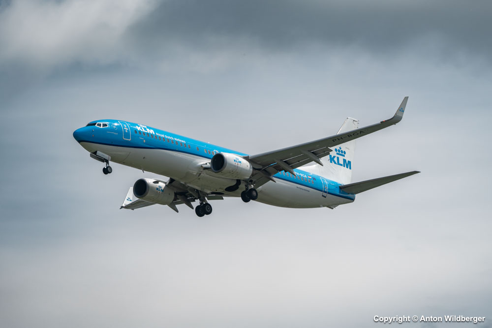 PH-BGA