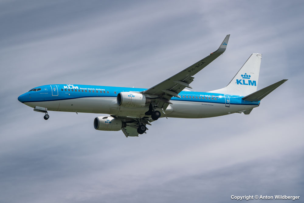 PH-BGA