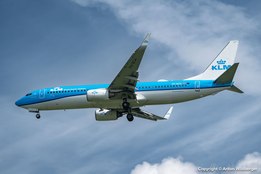 PH-BGA