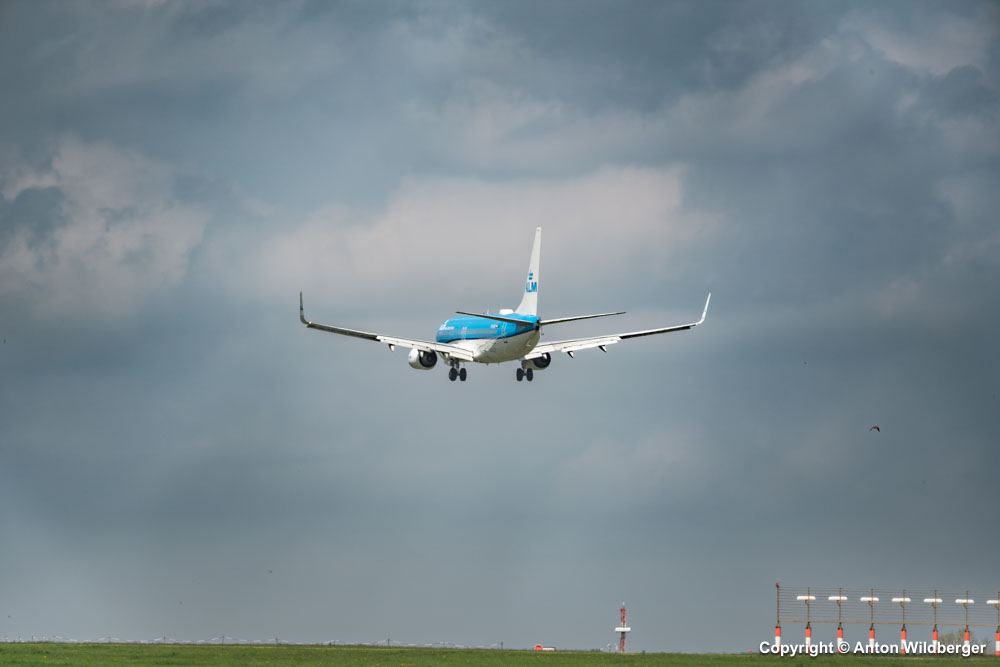 PH-BGA