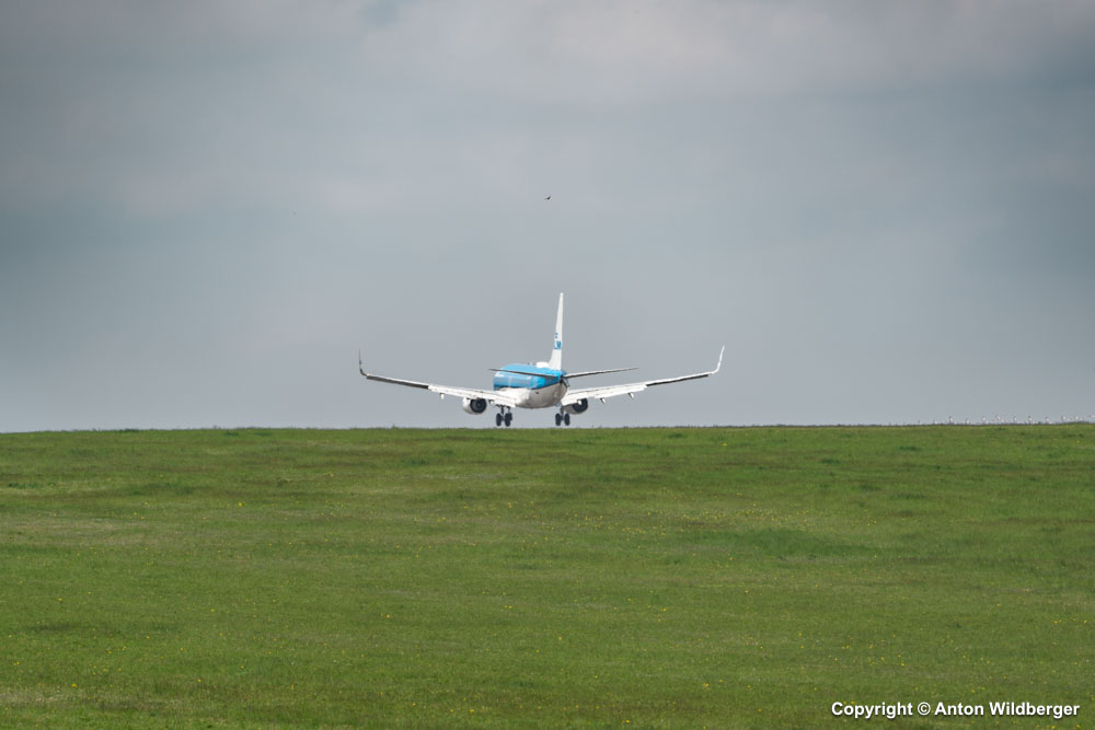 PH-BGA