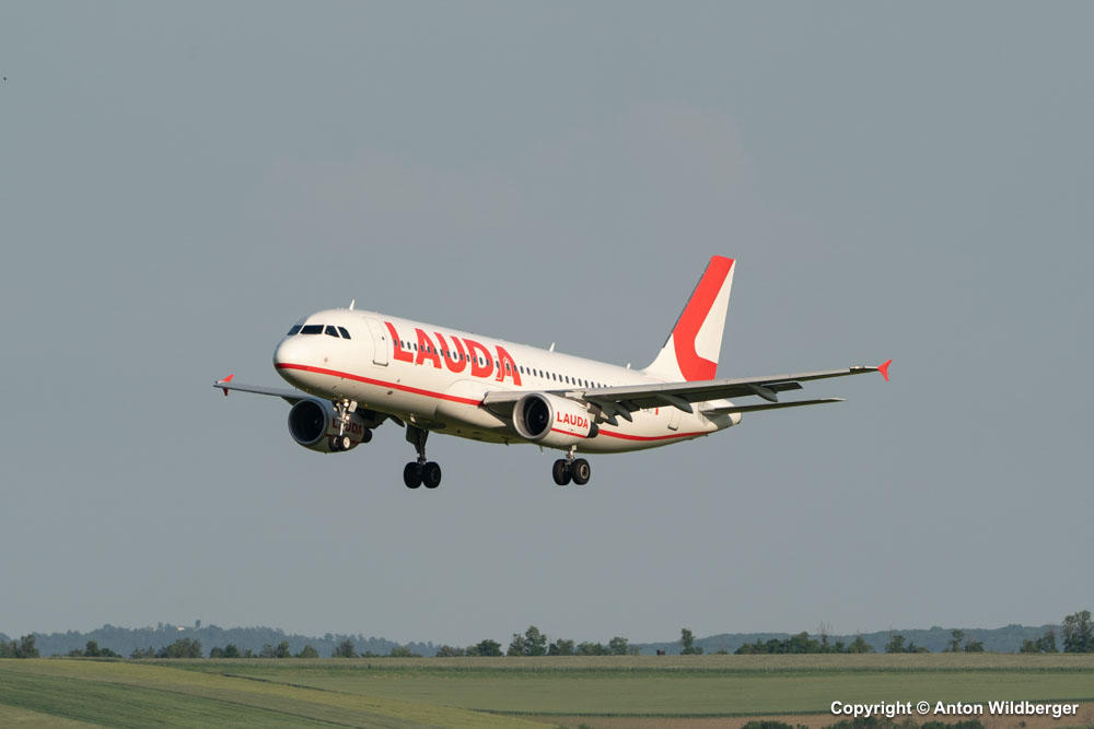 9H-LMJ