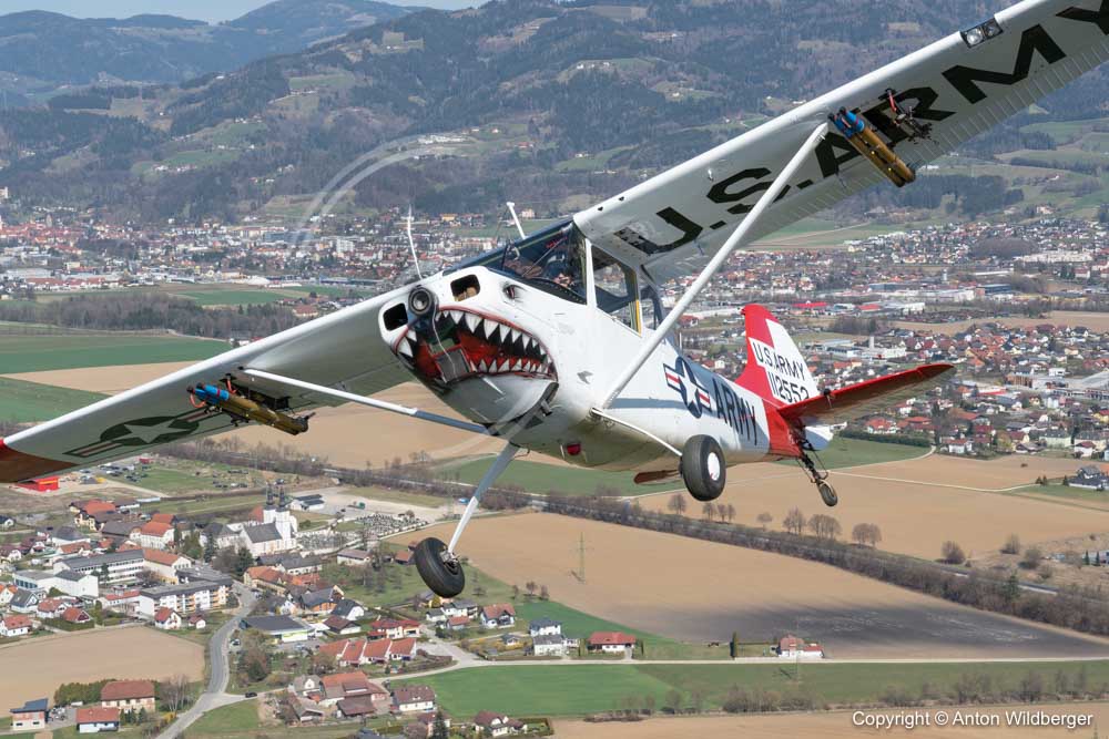 Cessna L-19/O-1 Bird Dog (305A), N33455
