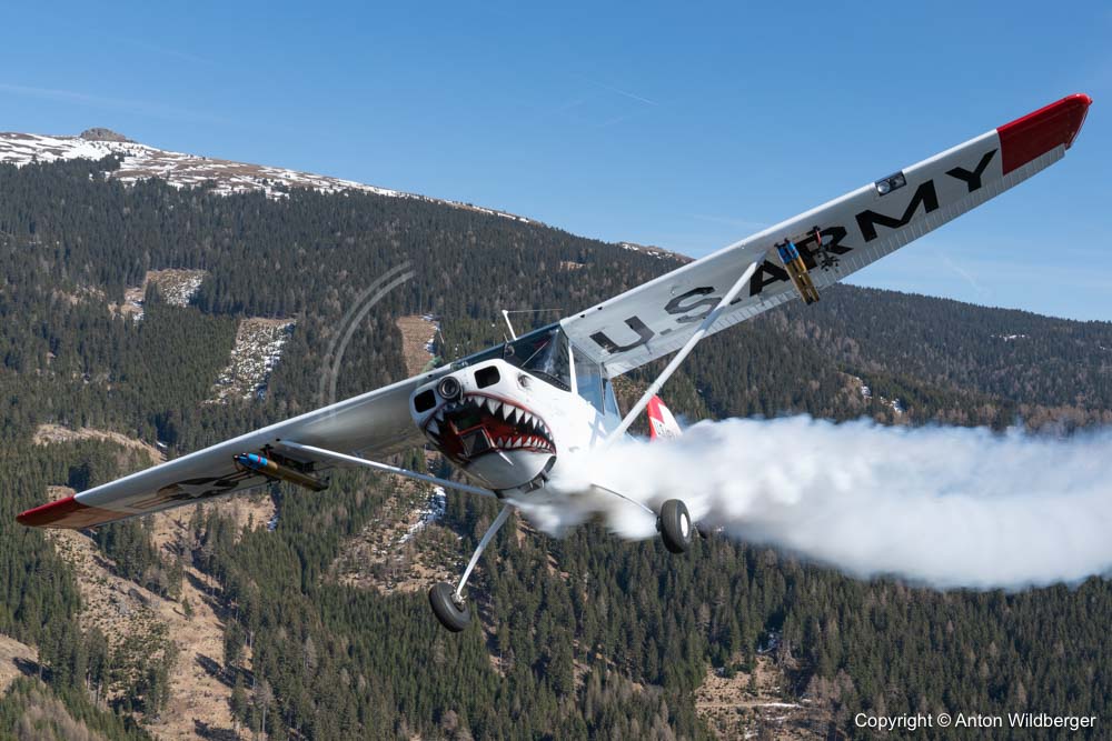 Cessna L-19/O-1 Bird Dog (305A), N33455