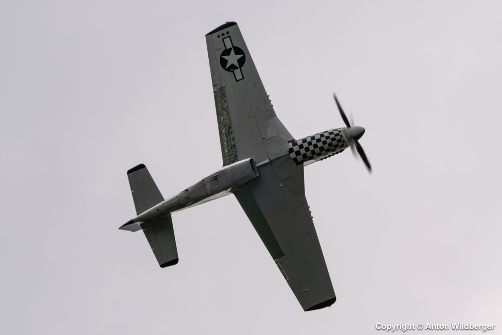 NL51ZW